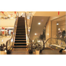 Shandong Fujizy 30 Degree Escalator